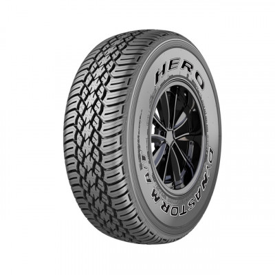 Hero Dyanstorm A/T