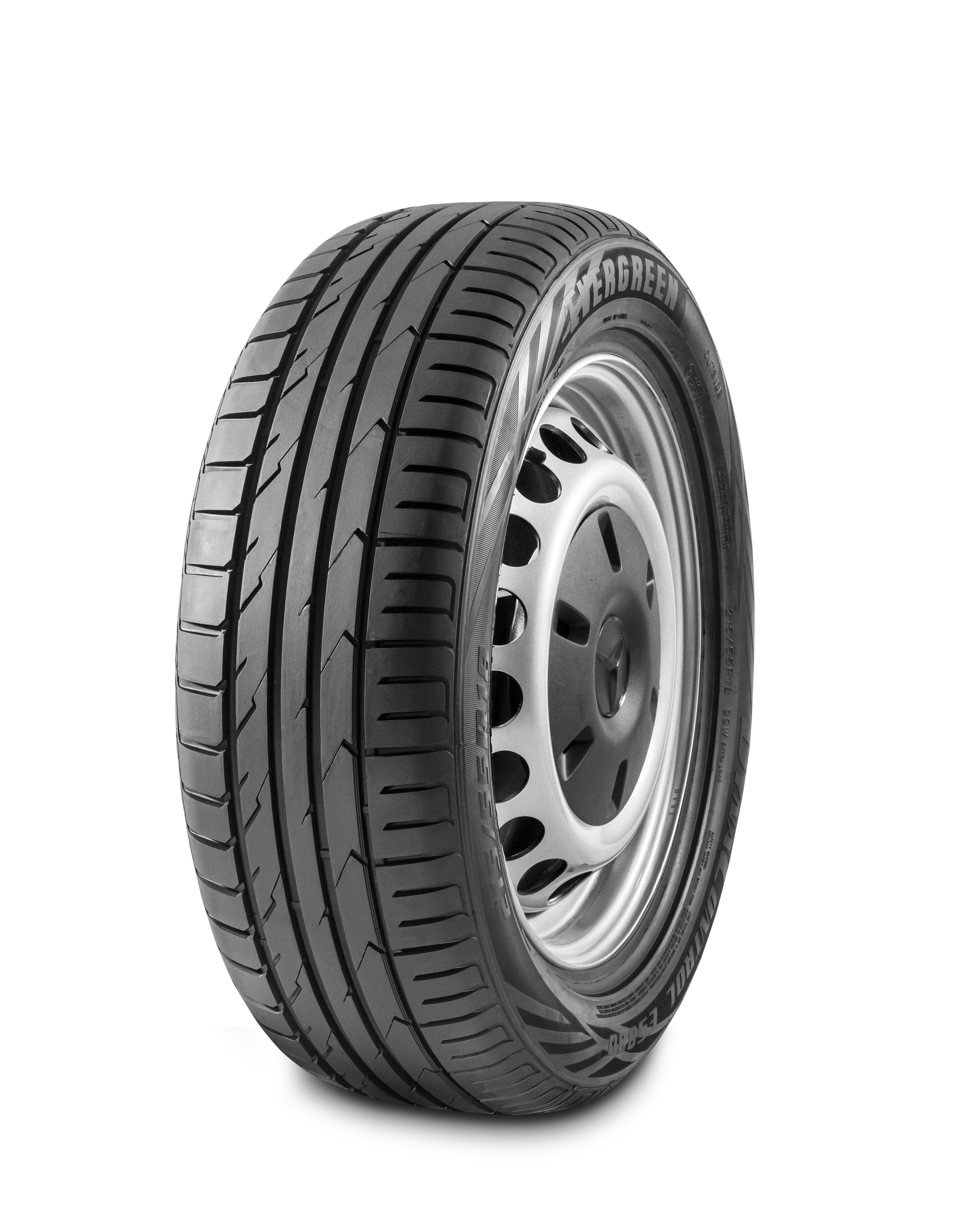 Evergreen DynaControl ES5880