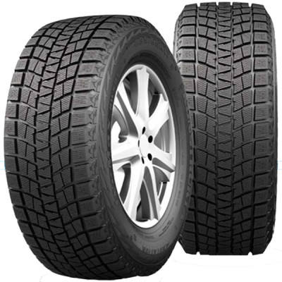 Habilead Icemax RW501