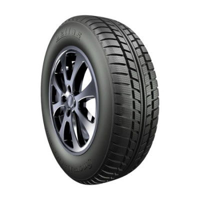 Petlas Snow Master W601