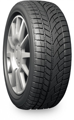 Evergreen Winter EW66