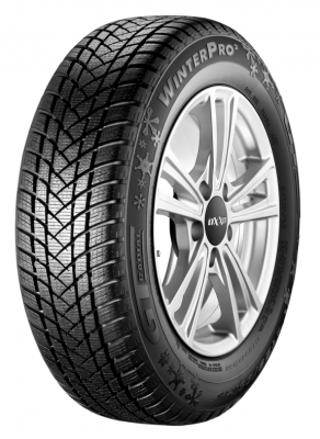 GT Radial WinterPro2